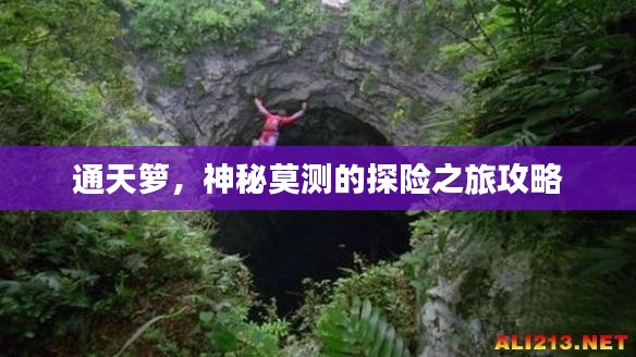 通天籮，神秘莫測(cè)的探險(xiǎn)之旅攻略