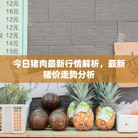 今日豬肉最新行情解析，最新豬價走勢分析