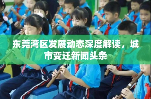 東莞灣區(qū)發(fā)展動態(tài)深度解讀，城市變遷新聞頭條