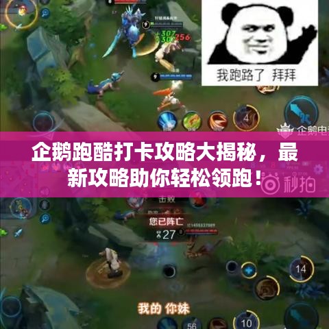 企鵝跑酷打卡攻略大揭秘，最新攻略助你輕松領(lǐng)跑！