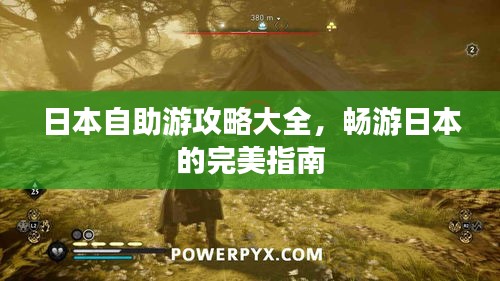 坌鳥(niǎo)先飛 第2頁(yè)