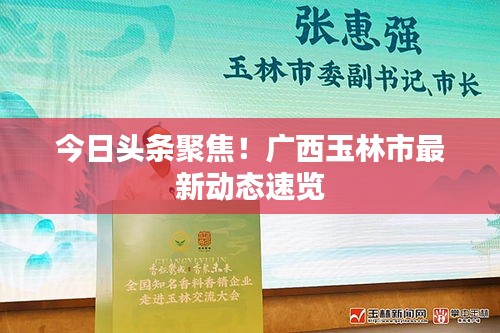 今日頭條聚焦！廣西玉林市最新動態(tài)速覽