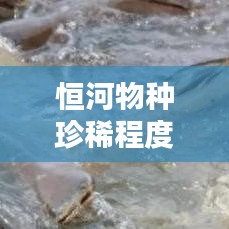 恒河物種珍稀程度排名TOP10榜單揭曉！