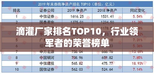 滴灌廠家排名TOP10，行業(yè)領(lǐng)軍者的榮譽(yù)榜單