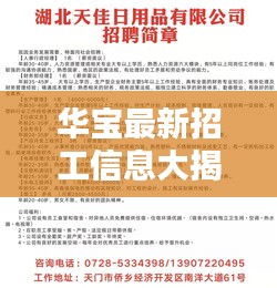 華寶最新招工信息大揭秘，一站式求職平臺，優(yōu)質(zhì)崗位等你來挑戰(zhàn)！
