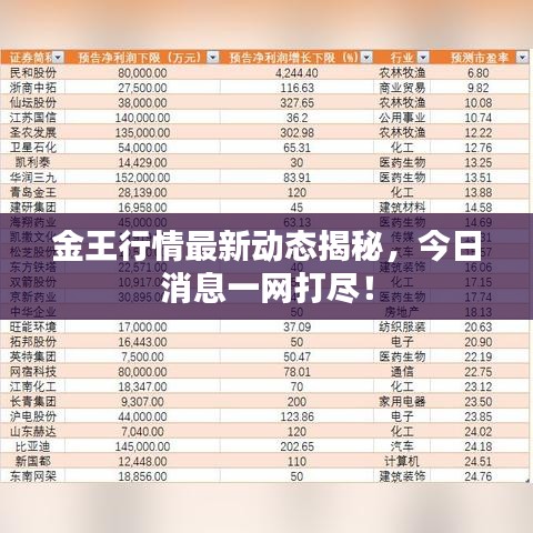 金王行情最新動態(tài)揭秘，今日消息一網(wǎng)打盡！
