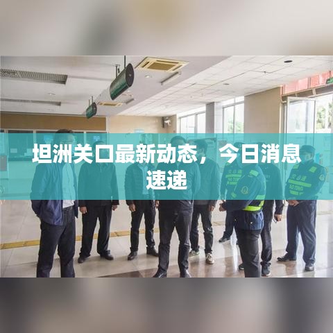 坦洲關(guān)口最新動態(tài)，今日消息速遞