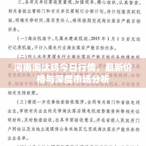 河南淘汰雞今日行情，最新價格與深度市場分析