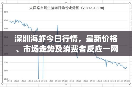 深圳海蝦今日行情，最新價(jià)格、市場(chǎng)走勢(shì)及消費(fèi)者反應(yīng)一網(wǎng)打盡