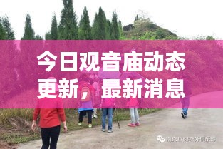 今日觀音廟動(dòng)態(tài)更新，最新消息一覽