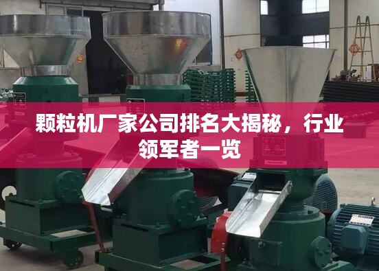 顆粒機(jī)廠家公司排名大揭秘，行業(yè)領(lǐng)軍者一覽