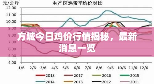 方城今日雞價行情揭秘，最新消息一覽