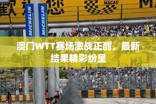 澳門WTT賽場激戰(zhàn)正酣，最新結(jié)果精彩紛呈