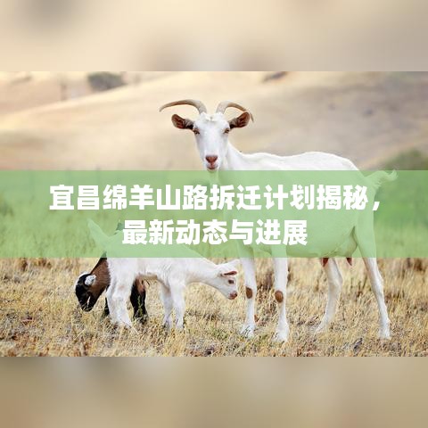 宜昌綿羊山路拆遷計(jì)劃揭秘，最新動(dòng)態(tài)與進(jìn)展