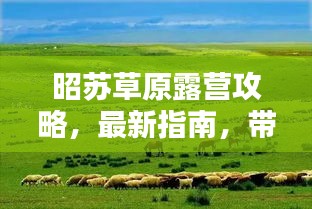 昭蘇草原露營攻略，最新指南，帶你玩轉(zhuǎn)草原露營！