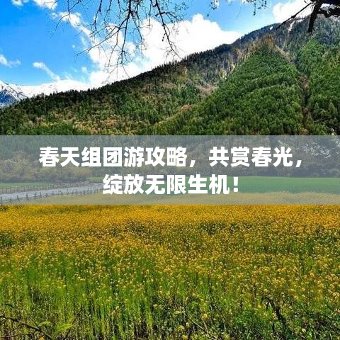 春天組團(tuán)游攻略，共賞春光，綻放無限生機(jī)！