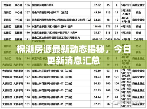 棉湖房源最新動態(tài)揭秘，今日更新消息匯總