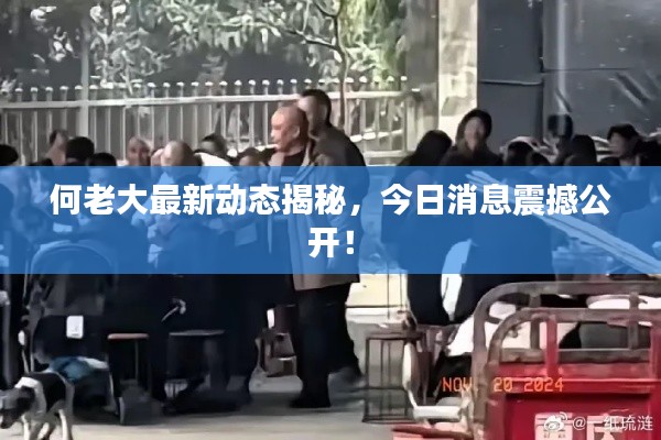 何老大最新動態(tài)揭秘，今日消息震撼公開！