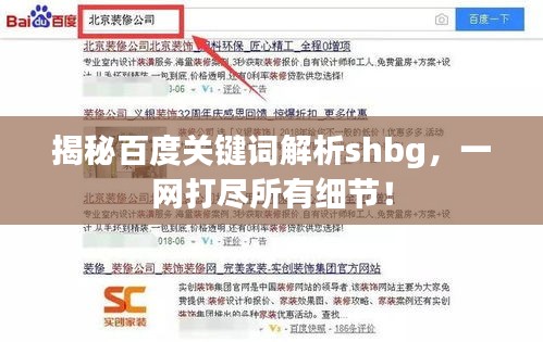 揭秘百度關(guān)鍵詞解析shbg，一網(wǎng)打盡所有細(xì)節(jié)！