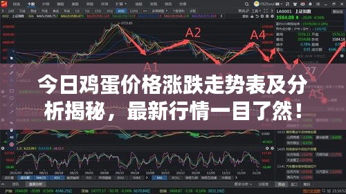 今日雞蛋價(jià)格漲跌走勢表及分析揭秘，最新行情一目了然！