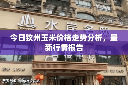 只爭朝夕 第2頁