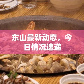 東山最新動態(tài)，今日情況速遞