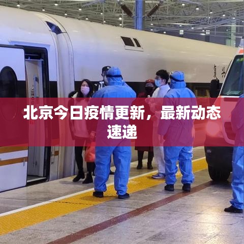 北京今日疫情更新，最新動(dòng)態(tài)速遞