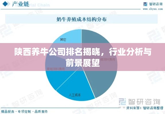 陜西養(yǎng)牛公司排名揭曉，行業(yè)分析與前景展望