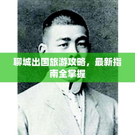 聊城出國旅游攻略，最新指南全掌握