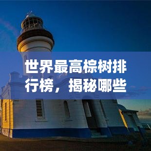 世界最高棕樹排行榜，揭秘哪些棕樹高聳入云！