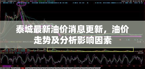 泰城最新油價(jià)消息更新，油價(jià)走勢(shì)及分析影響因素