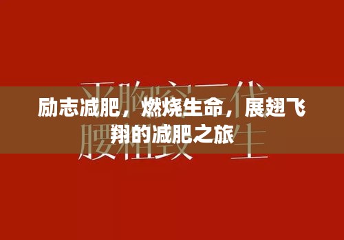 勵志減肥，燃燒生命，展翅飛翔的減肥之旅
