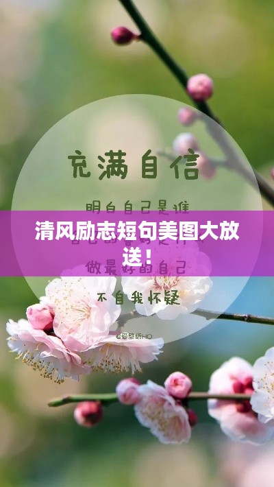 清風勵志短句美圖大放送！