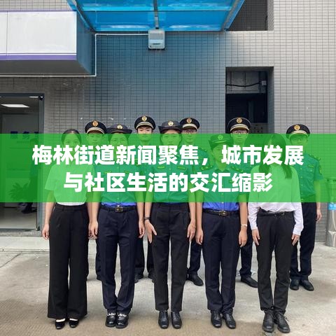 梅林街道新聞聚焦，城市發(fā)展與社區(qū)生活的交匯縮影