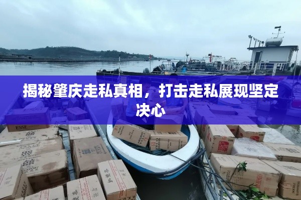 揭秘肇慶走私真相，打擊走私展現(xiàn)堅定決心