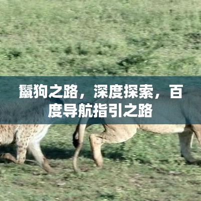 凌空飛起 第2頁
