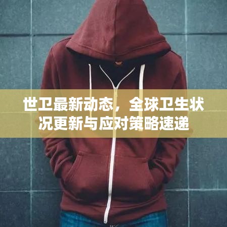 世衛(wèi)最新動(dòng)態(tài)，全球衛(wèi)生狀況更新與應(yīng)對策略速遞