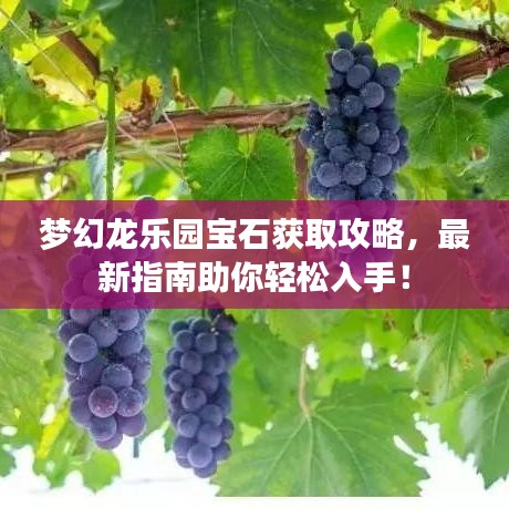 夢幻龍樂園寶石獲取攻略，最新指南助你輕松入手！