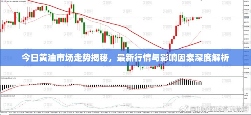 今日黃油市場走勢揭秘，最新行情與影響因素深度解析