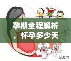 孕期全程解析，懷孕多少天會(huì)分娩？