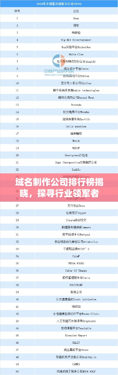 域名制作公司排行榜揭曉，探尋行業(yè)領(lǐng)軍者