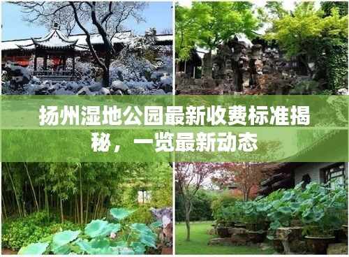 大事夸張 第2頁