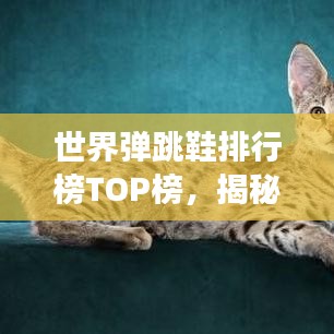 世界彈跳鞋排行榜TOP榜，揭秘彈跳力最強(qiáng)的鞋款！