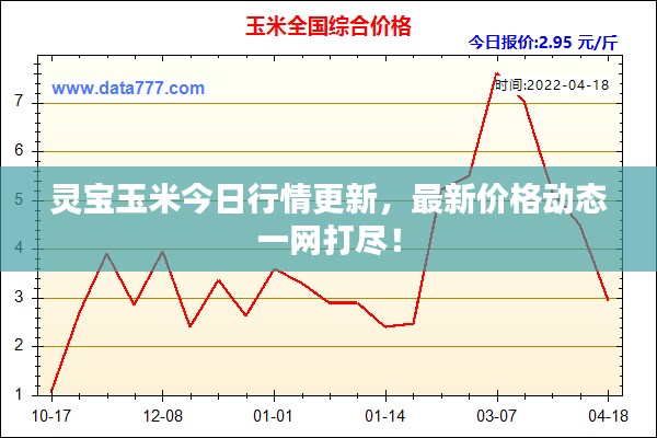 靈寶玉米今日行情更新，最新價(jià)格動(dòng)態(tài)一網(wǎng)打盡！