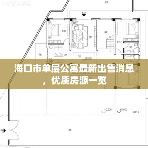 海口市單層公寓最新出售消息，優(yōu)質(zhì)房源一覽