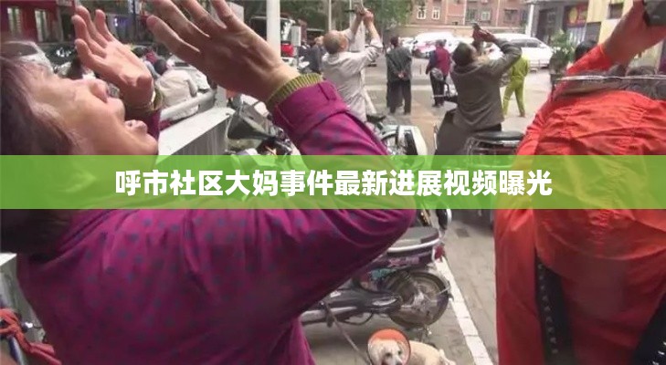 呼市社區(qū)大媽事件最新進展視頻曝光