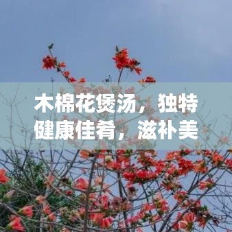 木棉花煲湯，獨(dú)特健康佳肴，滋補(bǔ)美味之選