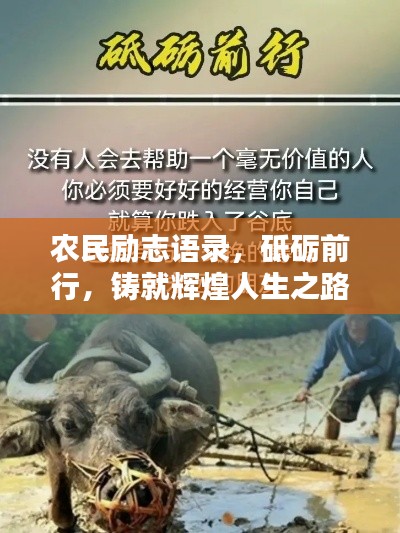 農(nóng)民勵(lì)志語錄，砥礪前行，鑄就輝煌人生之路