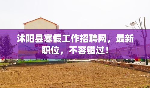 沭陽縣寒假工作招聘網(wǎng)，最新職位，不容錯過！