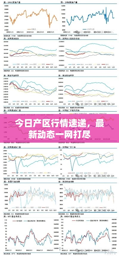 今日產(chǎn)區(qū)行情速遞，最新動態(tài)一網(wǎng)打盡